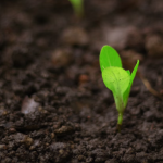 business growth takes time