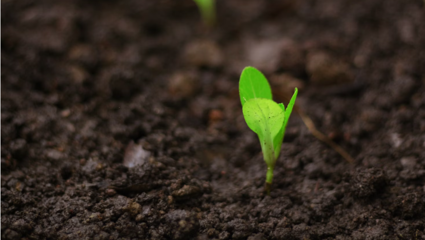 business growth takes time