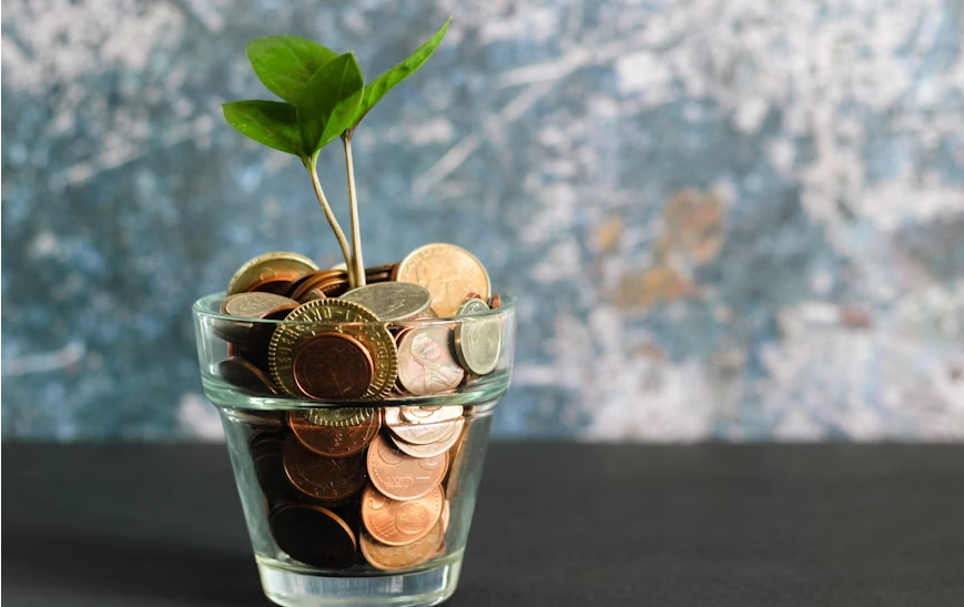 helping life coaches go from idea to income