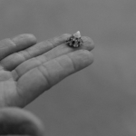 little impacts are still impacts coaching-business journey