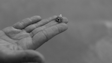 little impacts are still impacts coaching-business journey