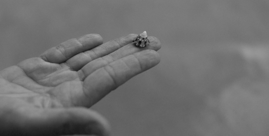 little impacts are still impacts coaching-business journey
