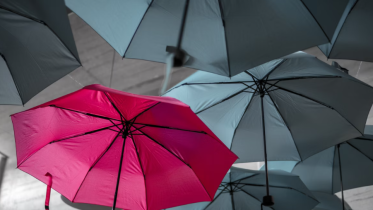 Image of red umbrella in the midst of black | Coaching Brand Clarity: How to Stand Out in a Crowded Industry