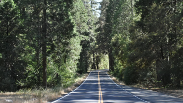 Image of an empty street | Grow Your Coaching Business with Quiet Visibility