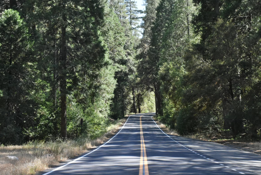 Image of an empty street | Grow Your Coaching Business with Quiet Visibility